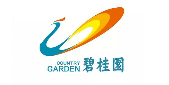 伊盾合作伙伴-碧桂园